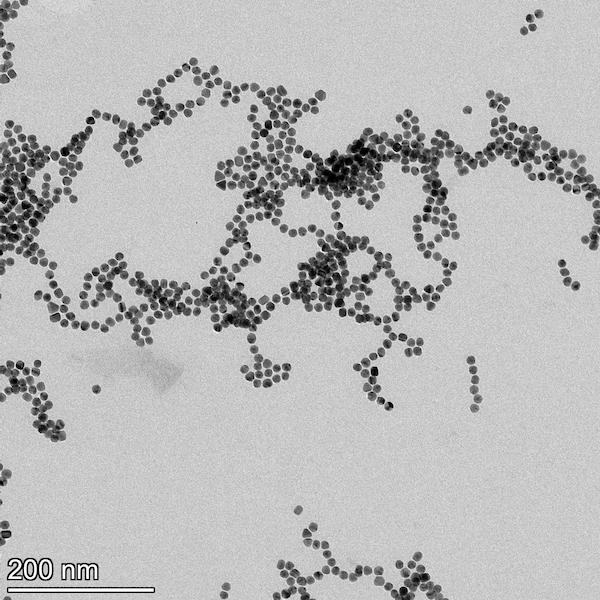 13nm Standard Gold Nanoparticles
