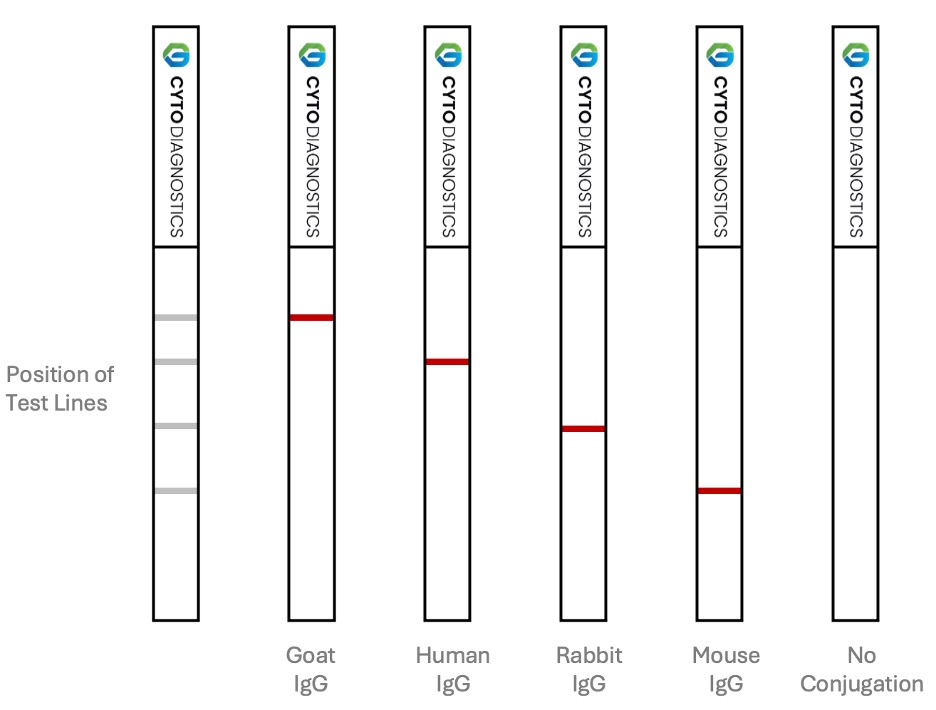 Gold Nanoparticle Conjugation Optimization Kit - Lateral