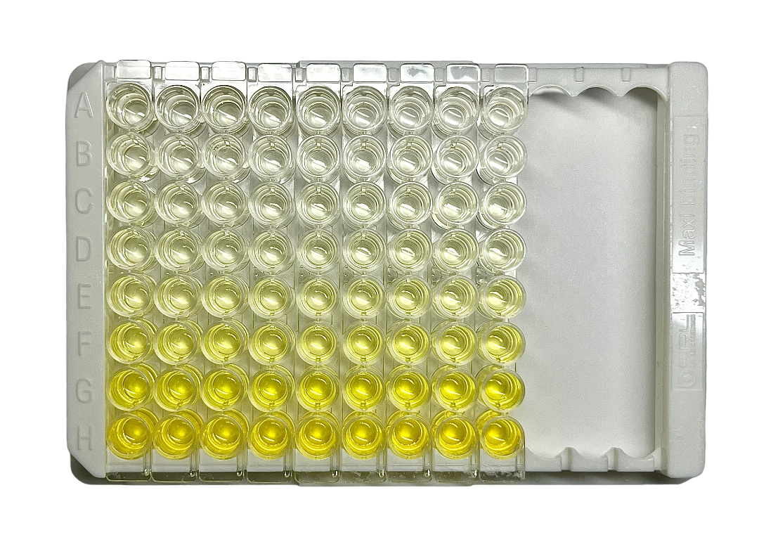 トップス elisa Human IL-8 ELISA Kit (ab214030) | Abcam
