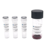 90nm Maleimide-Activated Gold Nanoparticle Conjugation Kit (MIDI Scale-Up Kit)