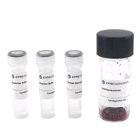 50nm NHS-Activated Gold Nanoparticle Conjugation Kit (MIDI Scale-Up Kit)