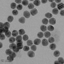 13nm Reactant Free Gold Nanoparticles-3