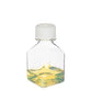 40nm Endotoxin Free Silver Nanoparticles