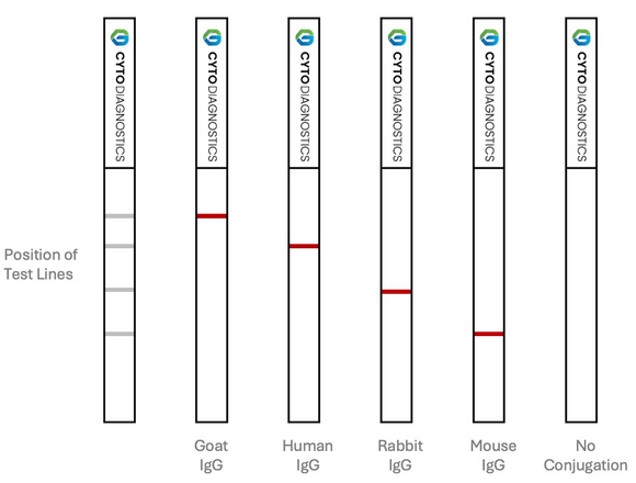 Conjugationqclateralflowcytodiagnostics
