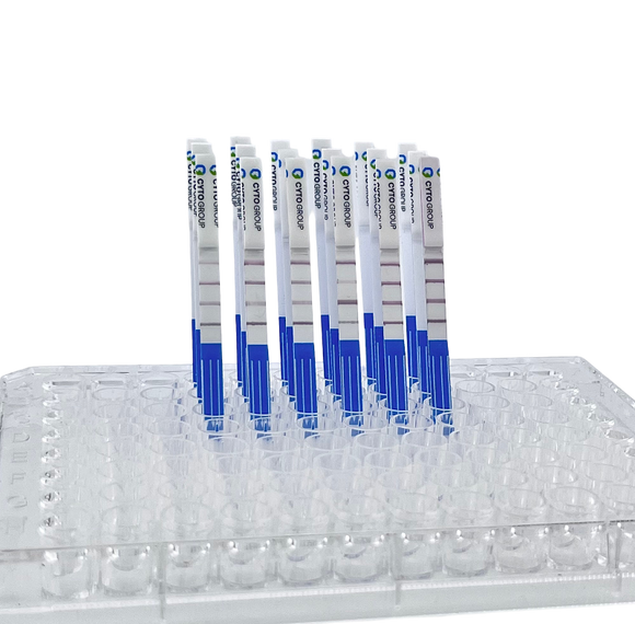 Conjugation QC Lateral Flow Dipstick Kit