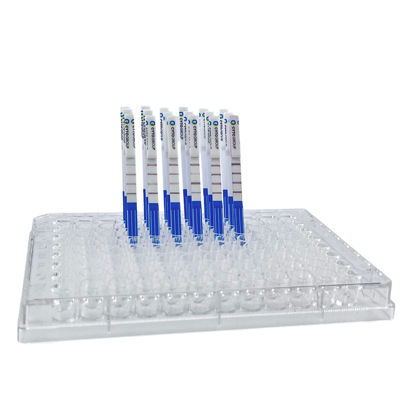 NO Rabbit IgG ELISA Kit