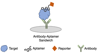 Human Thrombin ELASA Kit