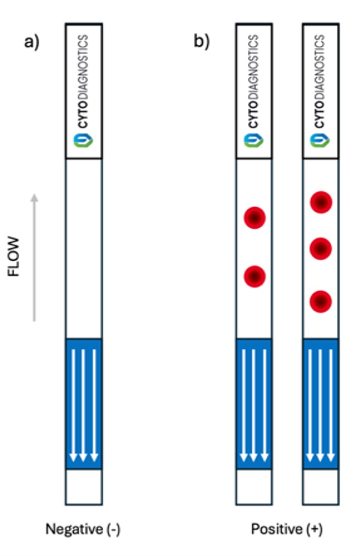 Lateral Flow 