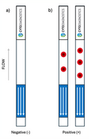 Lateral Flow "DIY" Assay Kit-2