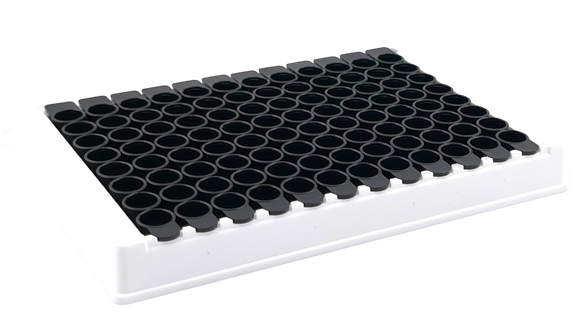 Fluorescent (Black Plates)