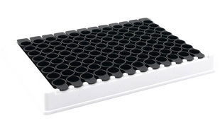 PolyAvidin Polymerized Streptavidin Coated Black Plate, 5 pk