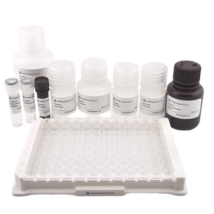 Human VEGF ELISA Kit