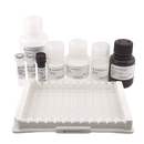 Human CXCL10 ELISA Kit-2