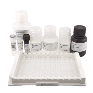 Human TNF-alpha  ELISA Kit