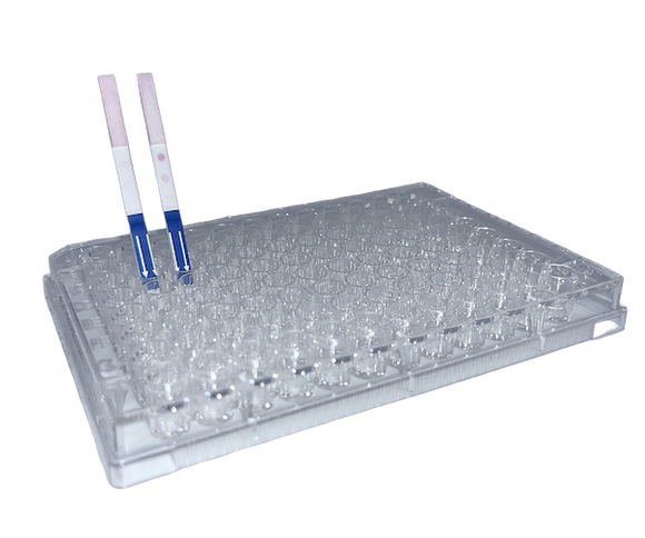Lateral Flow "DIY" Assay Kit