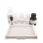 Mouse IgG ELISA Kit