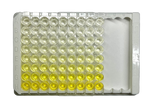Human IgG ELISA Kit