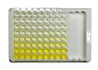 Human IgG ELISA Kit