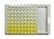 Human IgG ELISA Kit