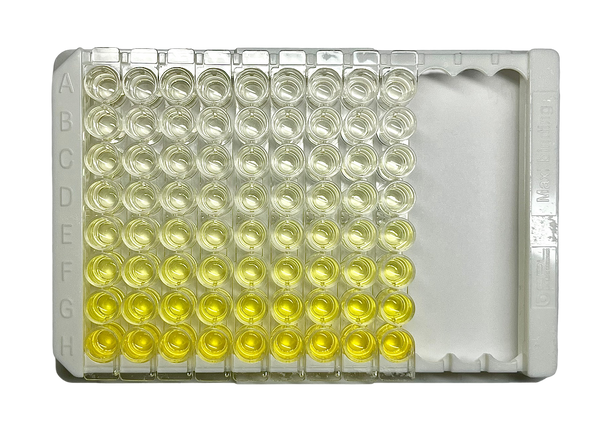 Human IgG ELISA Kit