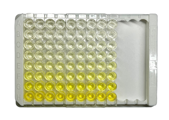 Human CXCL10 ELISA Kit