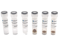 60nm NHS-Activated Silver Nanoparticle Conjugation Kit (3 Reactions)