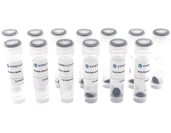 80nm NHS-Activated Gold NanoUrchins Conjugation Kit (10 Reactions)