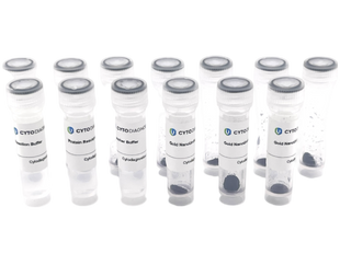 70nm NHS-Activated Gold NanoUrchins Conjugation Kit (10 Reactions)