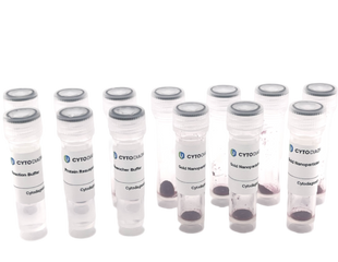 80nm Maleimide-Activated Gold Nanoparticle Conjugation Kit (10 Reactions)