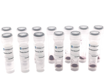90nm Maleimide-Activated Gold Nanoparticle Conjugation Kit (10 Reactions)