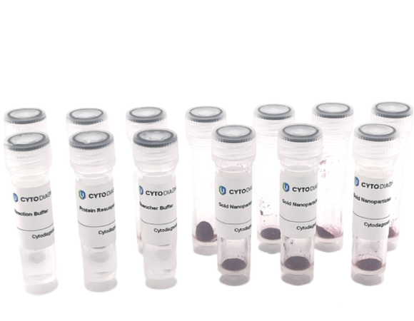 40nm Maleimide-Activated Gold Nanoparticle Conjugation Kit (10 Reactions)
