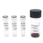 100nm NHS-Activated Gold Nanoparticle Conjugation Kit (MIDI Scale-Up Kit)