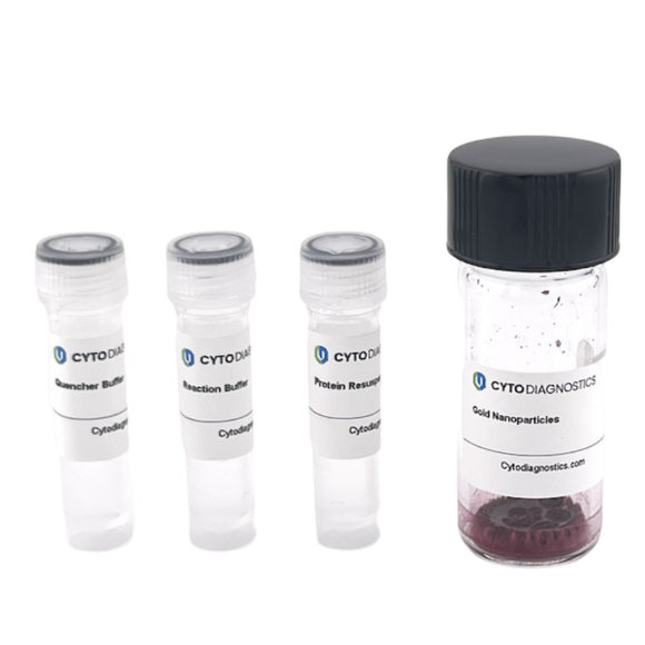 20nm Maleimide-Activated Gold Nanoparticle Conjugation Kit (MIDI Scale-Up Kit)