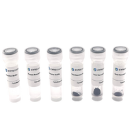 Nhs maleimide oligoreadygoldnanourcchinscytodiagnosticscopy 83253951 2b24 4690 acc7 5fde4323b15e