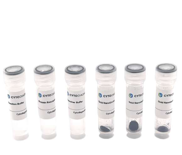 80nm NHS-Activated Gold NanoUrchins Conjugation Kit (3 Reactions)