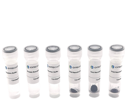 80nm NHS-Activated Gold NanoUrchins Conjugation Kit (3 Reactions)