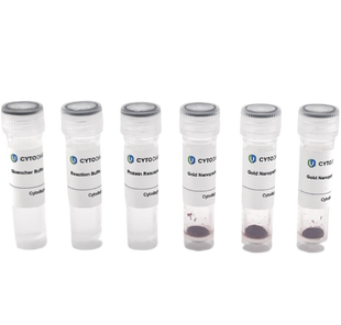 5nm NHS-Activated Gold Nanoparticle Conjugation Kit (3 Reactions)