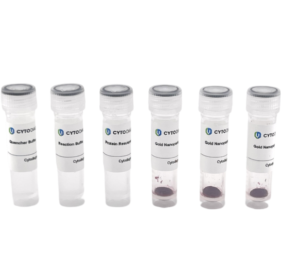 40nm NHS-Activated Gold Nanoparticle Conjugation Kit (3 Reactions)