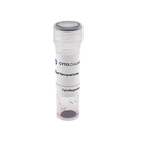 Streptavidin - 90nm Gold Conjugate-2