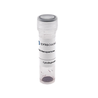 Covalent Streptavidin - 50nm Gold Conjugate