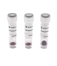 80nm AptamerREADY Gold Nanoparticle Conjugation Kit (3 reactions)