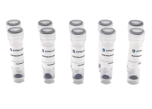 70nm AptamerREADY Gold NanoUrchin Conjugation Kit (10 reactions)