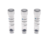 Oligoreadyaptamerreadyurchinscytodiagnosticscopy 80be2a6d a9ad 4d91 80fc 232f31e6f412