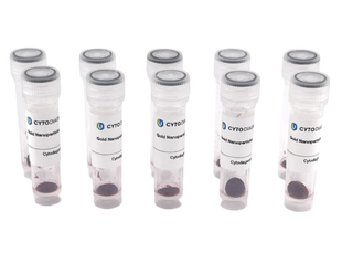 40nm OligoREADY Gold Nanoparticle Conjugation Kit (10 reactions)