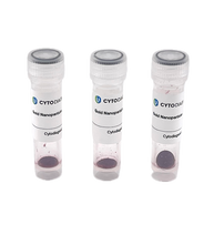 Oligoready aptamerready gold cytogiagnostics background removed 1d632f8a dc13 405f 9ec8 31b0ed8bd476