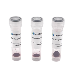 5nm OligoREADY Gold Nanoparticle Conjugation Kit (3 reactions)