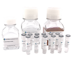 Gold Nanoparticle Conjugation Optimization Kit - 20nm