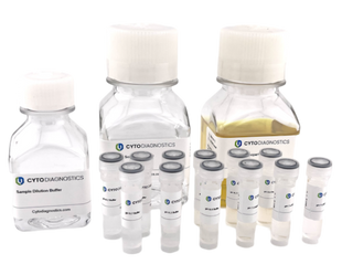 Silver Nanoparticle Conjugation Optimization Kit - 10nm