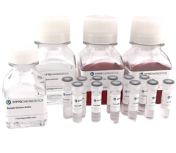 Gold Nanoparticle Conjugation Optimization Kit - Lateral Flow