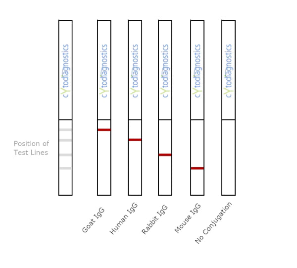100nm NHS-Activated Gold NanoUrchins Conjugation Kit (3 Reactions)